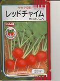 レッドチャイム　　サカタの二十日ダイコンです