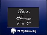 4x6 Brushed Metal Picture Frame-I love my Guinea Pig-Blue by LXG, Inc.