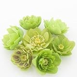 松村園芸・実生選抜苗 　クリスマスローズ 八重咲きグリーン系ダブル　 9cmポット苗