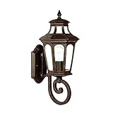 Alico Lighting 9511MM Acclaim Lighting Marbleized Mahogany Finished Outdoor Sconce with Clear Bevele