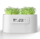 WAYCOM ミニ植物発電所　マイクロ植物発電できる置き時計 植物電気時計 インテリア グリーン観葉植物