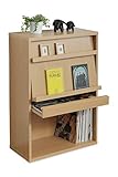 JKプラン 6BOX ディスプレイラック cd dvd 雑誌 が ディスプレイ 可能な ラック フラップ本棚 フラップ書棚 雑誌 マガジン 本 ラック 棚 幅 60 cm ナチュラル 木目 TSFR045NA
