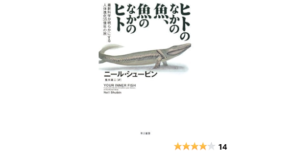 ヒトのなかの魚 魚のなかのヒト 最新科学が明らかにする人体進化35億年の旅 ニール シュービン 垂水 雄二 本 通販 Amazon