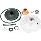 PENTAIR WATER FPPK50-P2 Jet Pump Overhaul Repair Kit [並行輸入品]