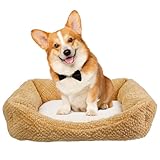 JinYin Pet ペットベッド 犬ベッド 猫ベッド ベッド クッション ソファ カーペット 小型犬 中型犬 あったかグッズ 寝床 暖かい 防寒 寒さ対策 冬用ベッド 冷房対策 通年 ふわふわ 柔らかい 滑り止め スクエア型 丸洗い 犬猫通用 (カーキ, ワンサイズ)