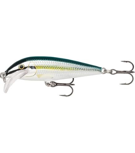 Amazon.co.jp: Rapala(ラパラ) ミノー カウントダウン マグナム 7cm
