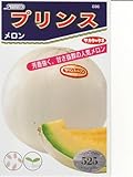 プリンスメロン サカタのノーネットメロン種です