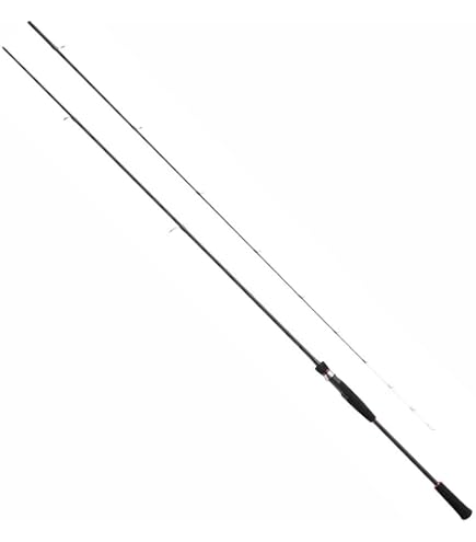 【お値下げ不可】ダイワインフィート テンヤマダイ240 スピニング Amazon | PRO MARINE(プロマリン) CB シーラウンダーテンヤ真鯛DX 240M
