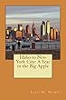 Idaho to New York City: A Year in the Big Apple (English Edition)
