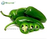 Loss Promotion 100 seeds / pack, Green Vegetable Jalapeno Chilli Pepper, Mexico Super Hot Pepper