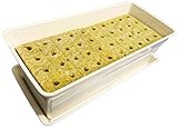 お試し ﾘｰﾌﾌﾟﾗﾝﾀｰ ﾌﾟﾛ御用達 苗床&ﾍﾞｯﾄﾞ付き【白】
