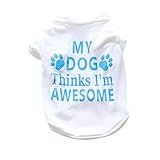 レンコス（Lemcos）ペットのファッション用品 犬服 猫服 春秋服 可愛いTシャツ 普段着 英文の図案 散歩 お出かけ 暖かい ふわふわ おしゃれ 人気 ペット猫 犬 犬の衣装 ドッグウェア ワンち