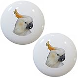 セットの2オウムParrotセラミックキャビネット引き出しノブ