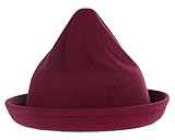 (コ-ランド) Co-land 可愛い 子供用帽子 ハット キッズ とんがり フェルトハット 無地純色 ボーラーハット ベビーキャップ 女の子 男の子 秋冬防寒 ワイン