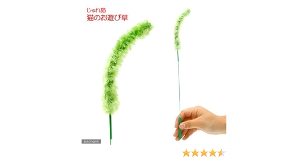 じゃれ猫 猫のお遊び草 １コ入 ドギーマン 猫じゃらし 羽のおもちゃ 通販 Amazon