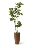 観葉植物 大型 フェイク 造花 ♪【グリーンパーク】MDF ウォールナット H50×ウンベラータ♪ インテリアグリーン アーティフィシャル