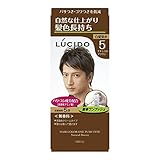 【マンダム】ルシード ワンプッシュケアカラー ５ ナチュラルブラウン １剤５０ｇ・２剤５０ｇ ×２０個セット