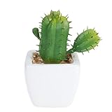 WINOMO CactusCubeモダンポット付き緑色の人工多肉植物室内用屋外装飾用ミニフェイクフラワーポット（棘付きサボテン）