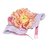 JamieRaeHats SH-LVG-PORLP 12m-2Y