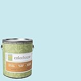 Inspired Flat Interior Paint, Dream .01, Gallon [並行輸入品]