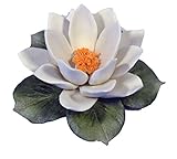 カポディモンテWater Lilly