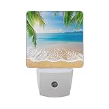 Alaza Tropical Palm Leaf Sea Wave Sand LED Night Light Dusk to Dawnセンサープラグin Night Home Decorデスクランプf