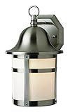 Bel Air Lighting PL-4580 BN Outdoor Wall Light, Nickel, 12-Inch [並行輸入品]