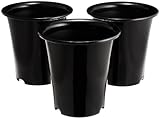 大和プラスチック 洋ラン鉢 6号 ブラック 3個セット
