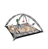 Cat Play Tent (Available in a pack of 1) [並行輸入品]