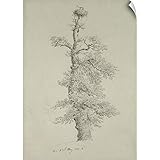 Caspar David Friedrich壁Peel壁アート印刷entitled Ancient Oak Tree with a stork 's Nest、23rd May 1806 26" x 
