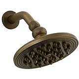 Cifial 289.870.V05 Thunderstorm Showerhead with Arm and Flange, Aged Brass [並行輸入品]