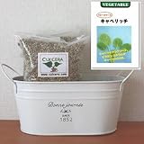 ベビーリーフ（キャベリッチ）の栽培セット/標準セット（液体肥料無し）プランターホワイト仕様