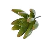 GRALARA人工多肉植物　シャコバサボテン　フラワー　家　庭　装飾