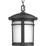 Progress Lighting P6524-31 Traditional/Casual Med Hanging Pendant, Black [並行輸入品]