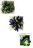 MedianField 【 ウォールグリーン 3個 セット 】 フェイクグリーン 観葉植物 造花 壁掛け 人工観葉植物 エアープランツ 室内 屋外 フレーム インテリア アンティーク 雑貨 人工 フェ