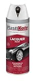 PlastiKote T-33 Gloss White Lacquer Paint - 12 Oz. [並行輸入品]