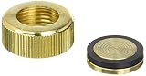 Zurn Pex QTC5FBGPK1 1-Inch Low Lead Brass Cap [並行輸入品]