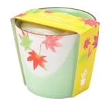 植木鉢と種がセットになった<br>盆栽栽培セット（もみじ）
