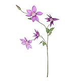 クレマチススプレー(M) FXFS0007LAV