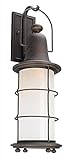 Troy Lighting Maritime 26"H 1-Light Outdoor Wall Light - Vintage Bronze Finish with Clear Seedy Oute