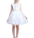 WIN 女の子 スパンコール 子供ドレス キッズワンピース 女の子スカート ガールズフォーマル パーティー 発表会 結婚式 入園式 演奏会 花嫁介添人 七五三 卒業式 お嬢様のドレス (110cm, 