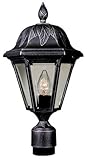 Special Lite Products Floral F-2940-BLK/BV Medium Post Mount Light, Black [並行輸入品]