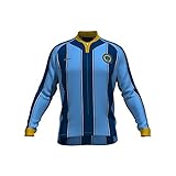 MLSレディースの元のストライプ長袖サイクリングジャージー ブルー