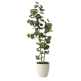グリーン／観葉植物 シーグレープ sea grape 室内 イミテーショングリーン 人工 造花 植物 大型 125cm 1m25cm 光触媒 おしゃれ グリーン 癒し ギフト プレゼント 消臭 抗菌