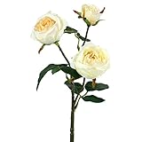 ローズスプレーX3 FXFR0008CR