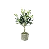 フェイクグリーン　オリーブ　イミテーション　人工観葉植物　造花　DECOR IMITATION OLIVE S　COCO MIEL　ココミエル