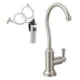 Moen Sip従来Beverage蛇口withろ過システム 1