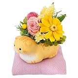 花由 プリザーブドフラワー 和風 くつろぎねこ スコティッシュフォールド/茶