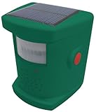 コンパル ソーラー・ドッキリバード(猛鳥コール)