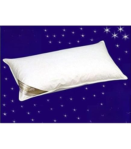 Amazon｜西川 ダウンピロー ホワイトダウン85％ 50×70cm 羽毛枕 羽毛